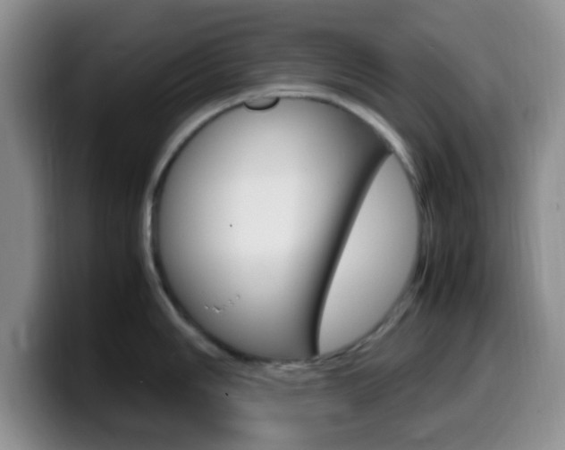 X0000099981006200805231019