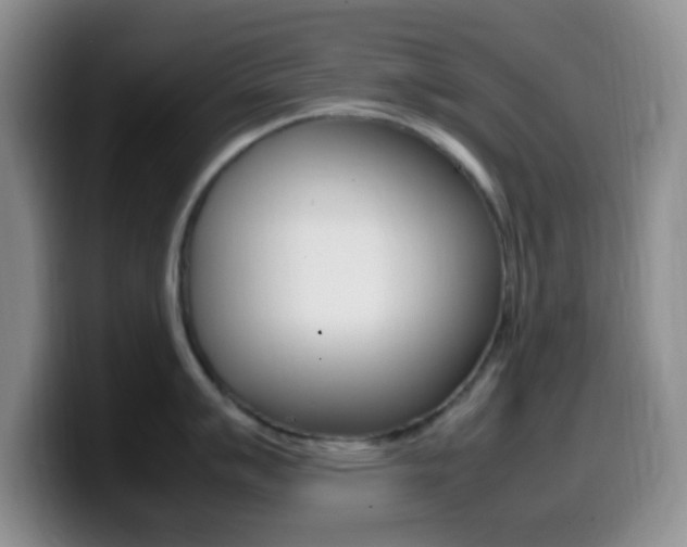 X0000099981007200805231019