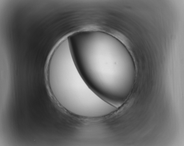 X0000099981008200805231019