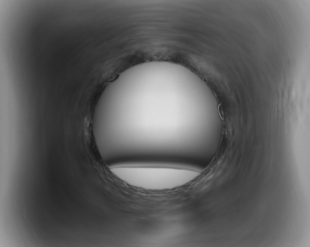 X0000099981010200805231018