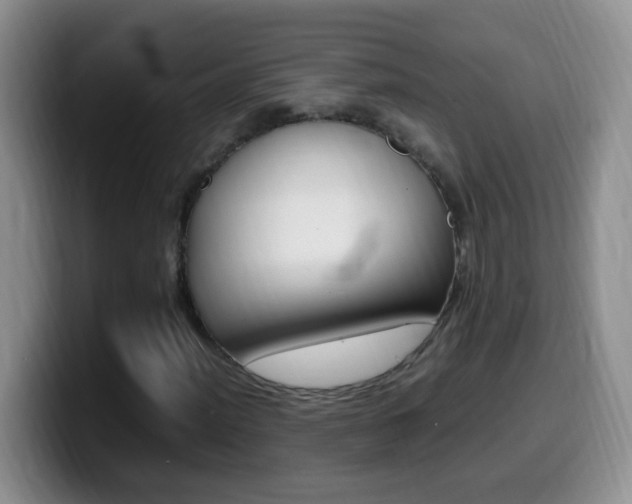 X0000099981012200805231018