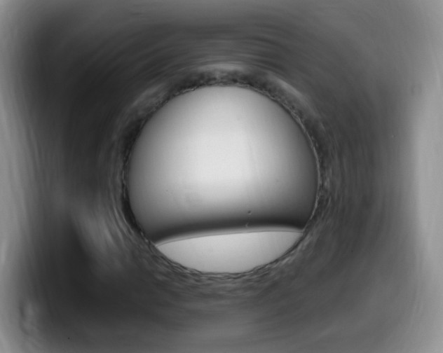 X0000099981014200805231018