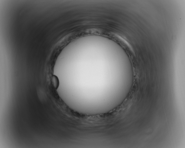 X0000099981015200805231018