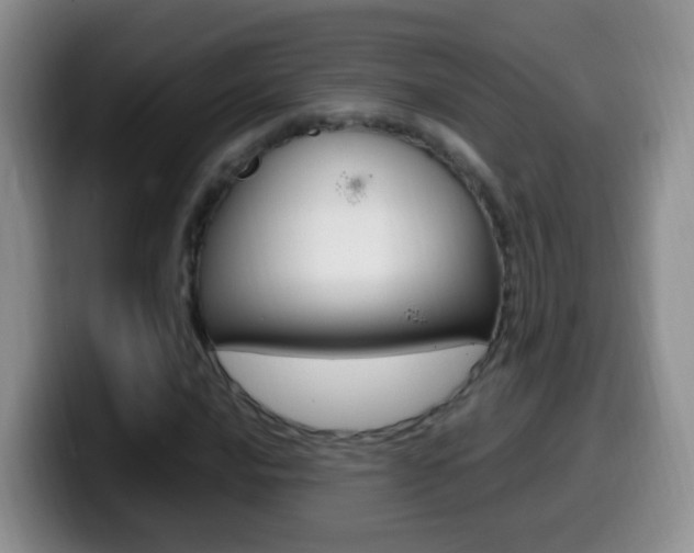 X0000099981016200805231018