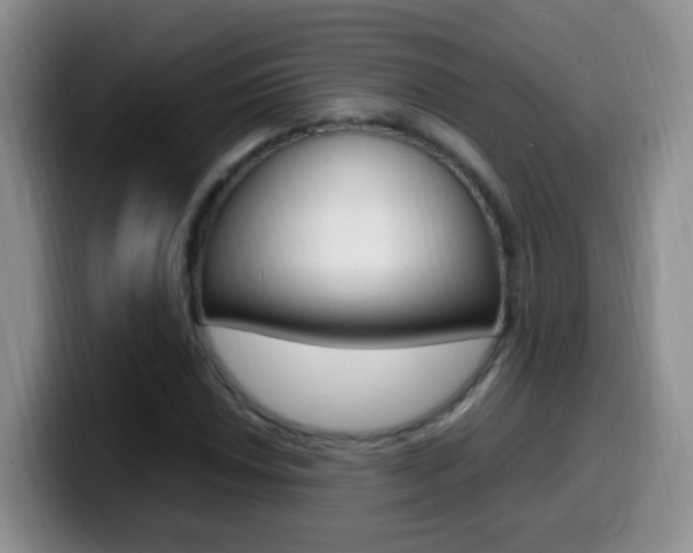 X0000099981018200805231018