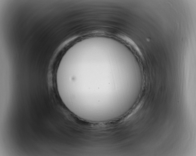 X0000099981019200805231018