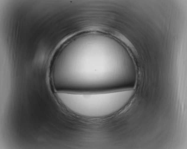 X0000099981020200805231018