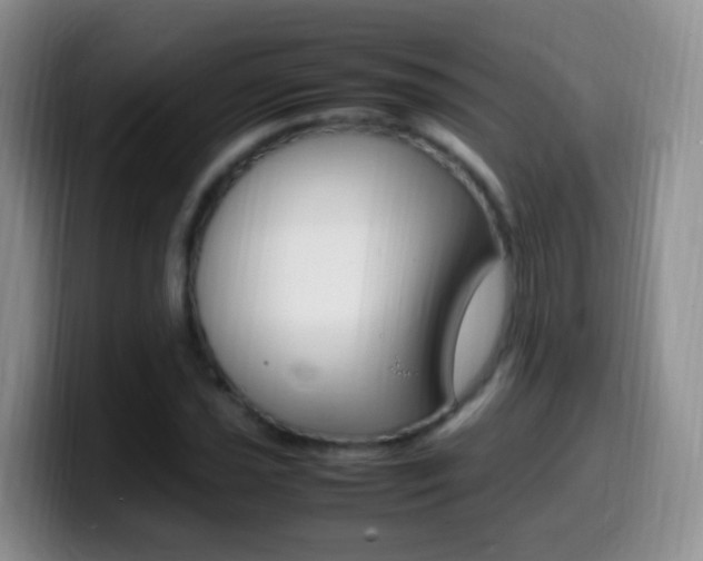 X0000099981021200805231018
