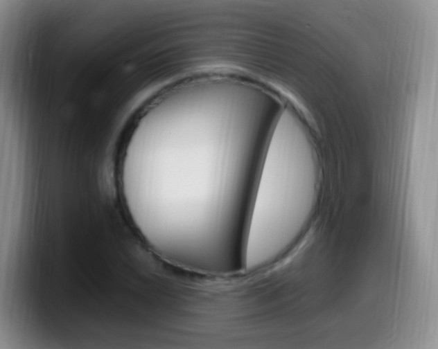 X0000099981022200805231018