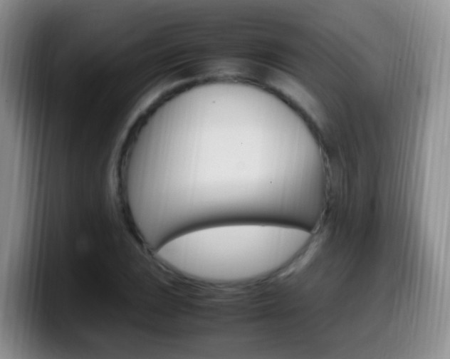 X0000099981023200805231018