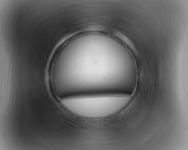 X0000099981024200805231019