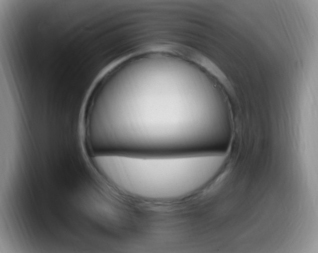 X0000099981028200805231019