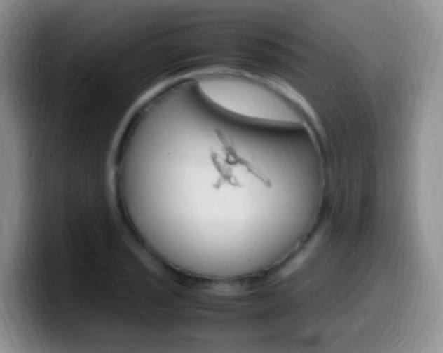 X0000099981029200805231019