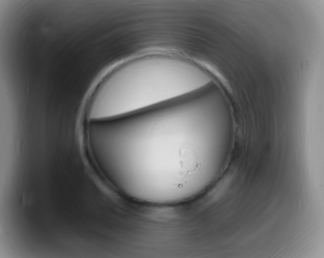 X0000099981030200805231019