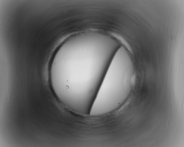 X0000099981031200805231019