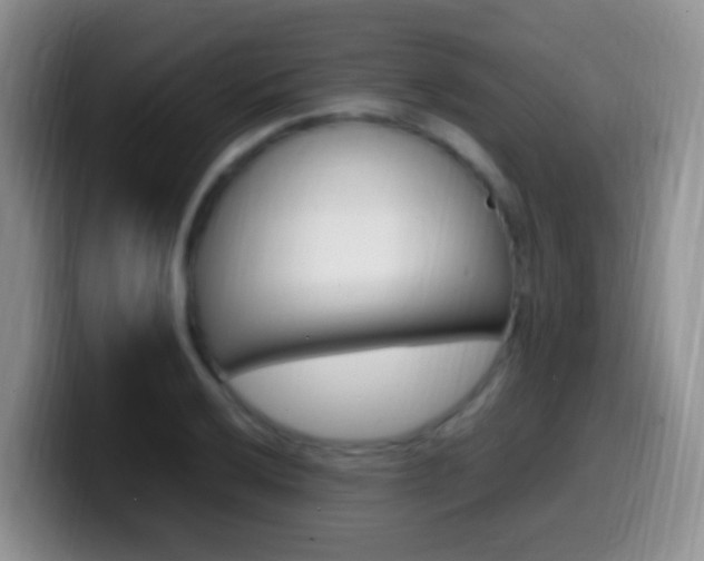 X0000099981032200805231019