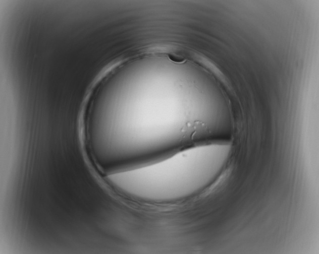 X0000099981034200805231019