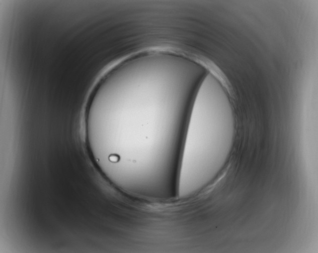 X0000099981036200805231019
