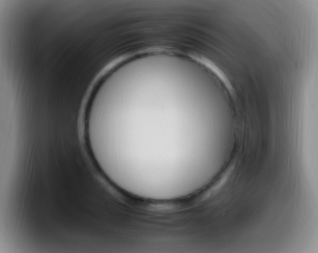 X0000099981037200805231019