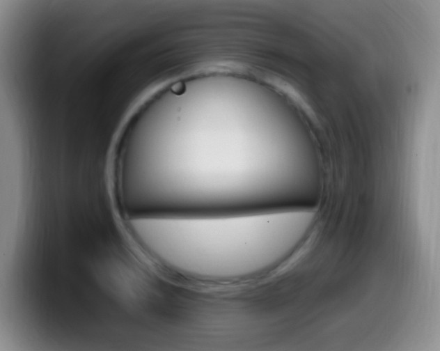 X0000099981038200805231019