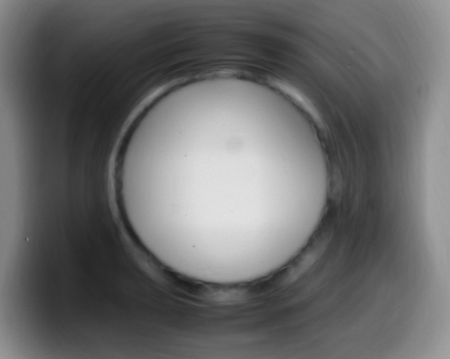 X0000099981039200805231019