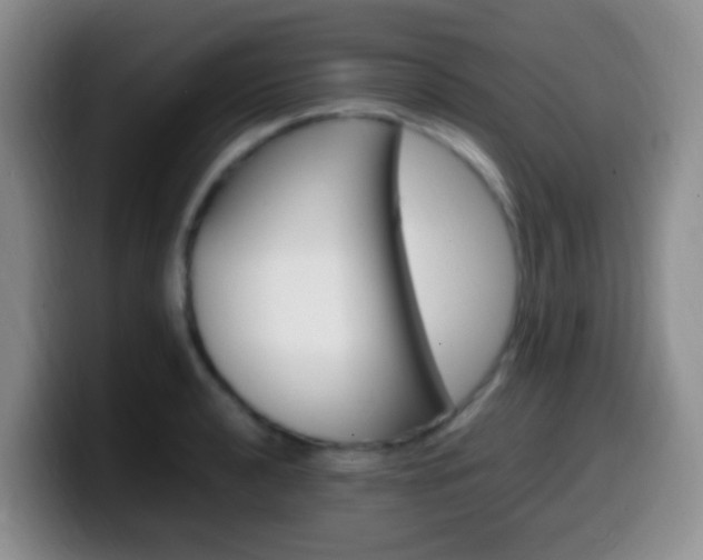 X0000099981040200805231019