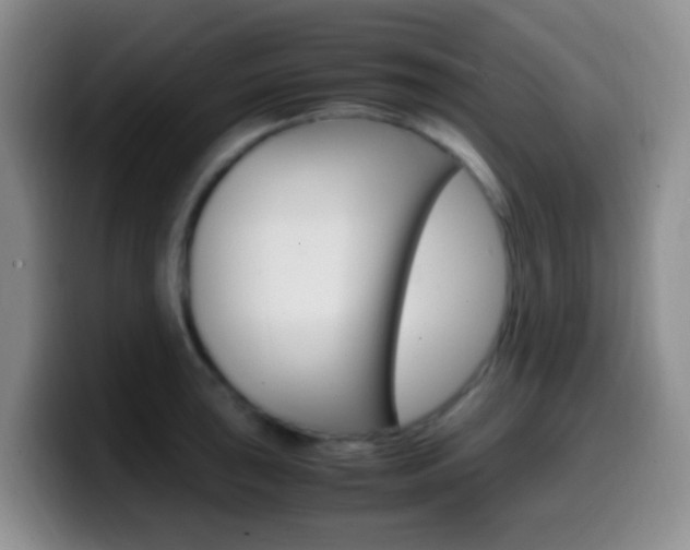 X0000099981043200805231019