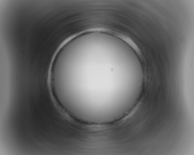 X0000099981044200805231019
