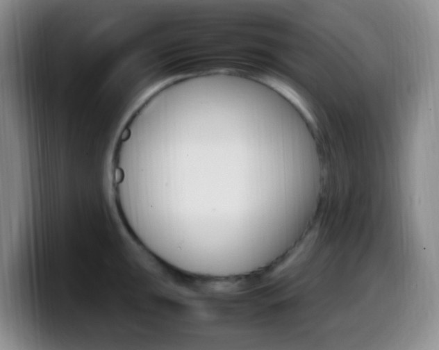 X0000099981047200805231019