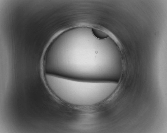 X0000099981048200805231019