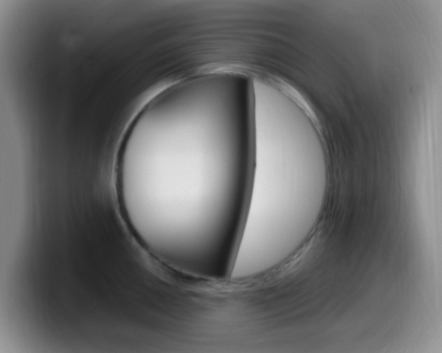 X0000099981050200805231019