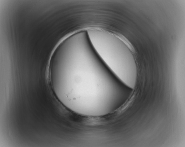 X0000099981052200805231019