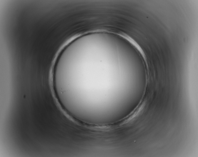 X0000099981053200805231019