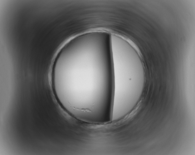 X0000099981054200805231019