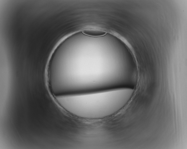 X0000099981056200805231019