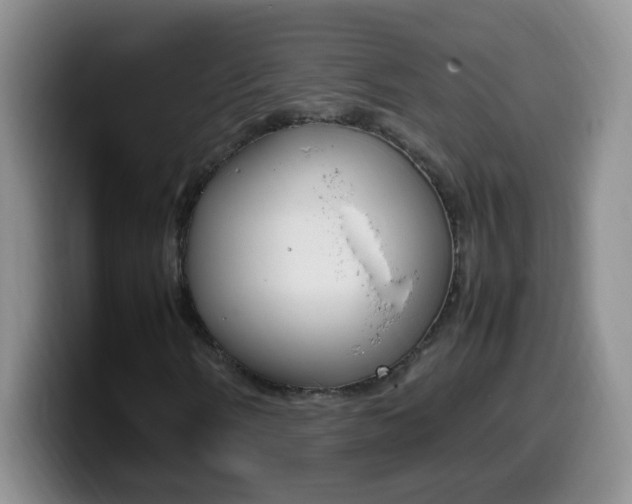 X0000099981058200805231018