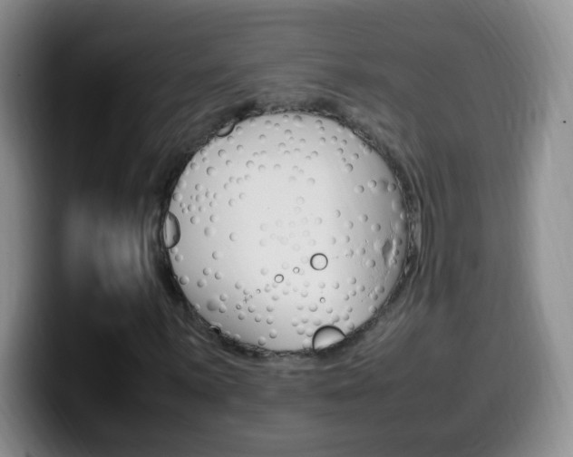 X0000099981059200805231018