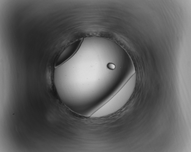 X0000099981060200805231018