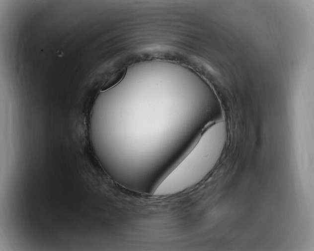 X0000099981062200805231018