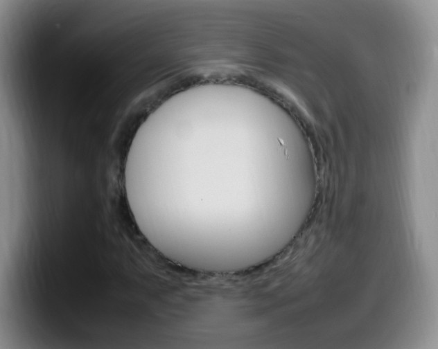 X0000099981063200805231018