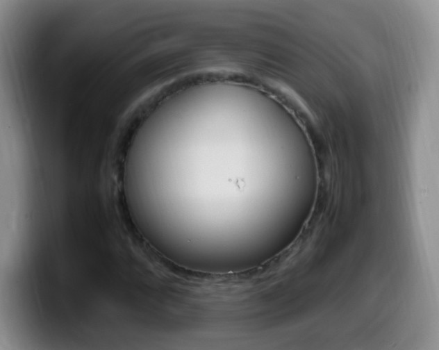 X0000099981064200805231018