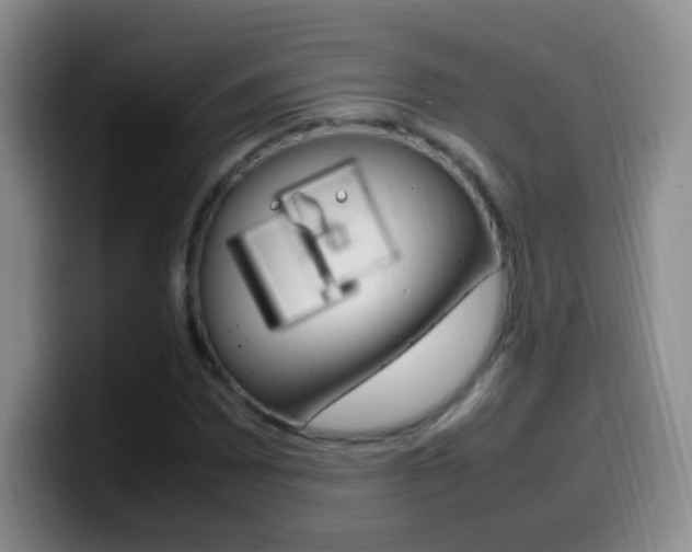 X0000099981065200805231018