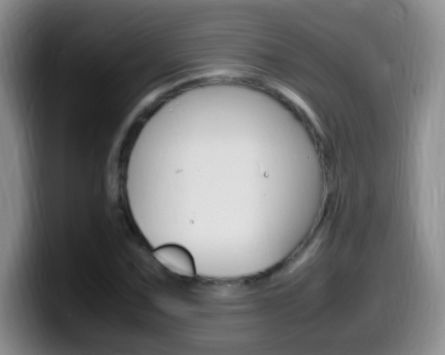 X0000099981067200805231018