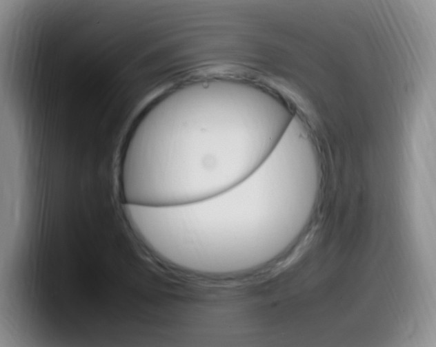 X0000099981073200805231018