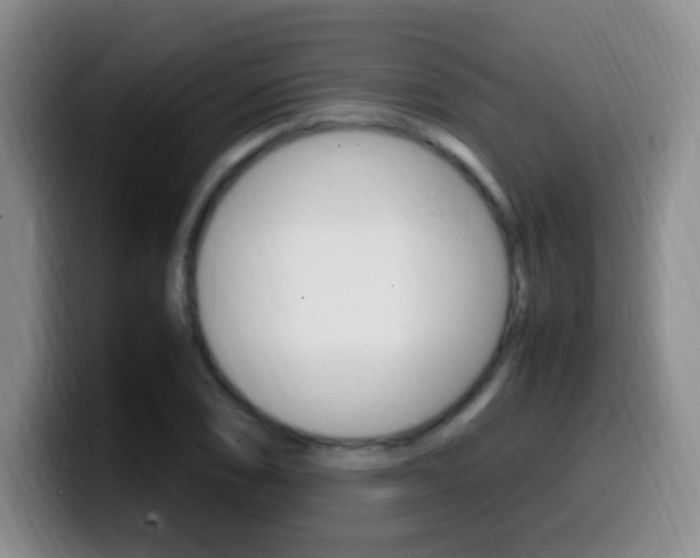 X0000099981074200805231018