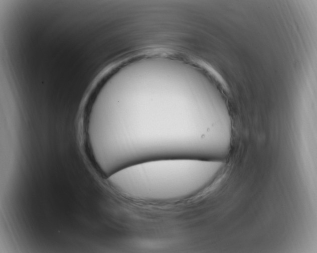 X0000099981075200805231018
