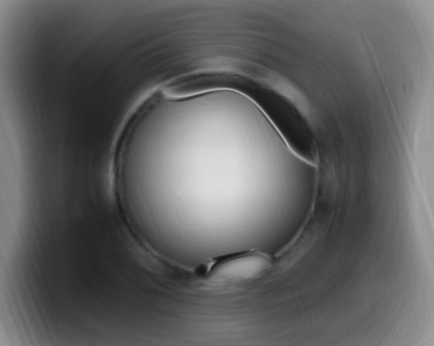 X0000099981076200805231018