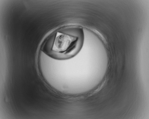 X0000099981077200805231018