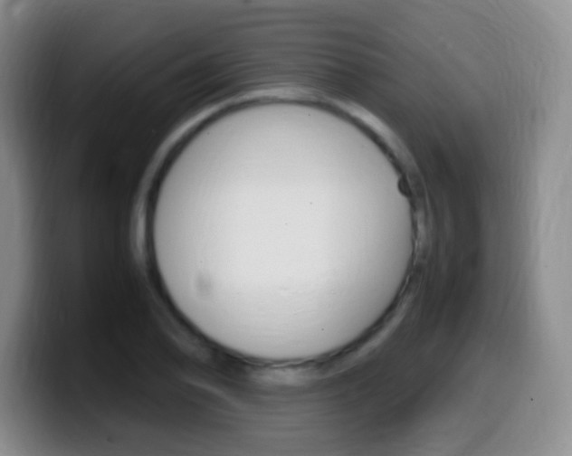 X0000099981078200805231018
