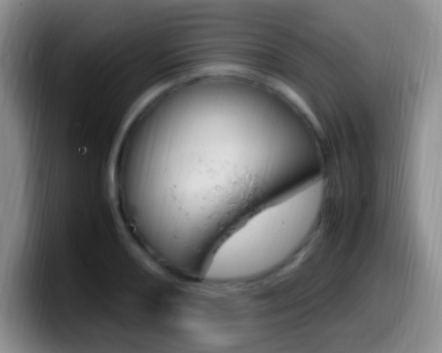 X0000099981082200805231018